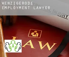Wenzigerode  employment lawyer