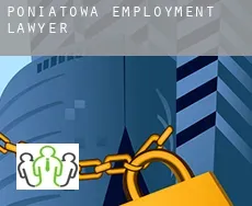 Poniatowa  employment lawyer