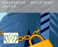 Sonnenberg  employment lawyer