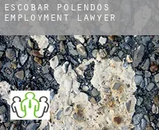 Escobar de Polendos  employment lawyer