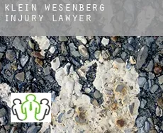 Klein Wesenberg  injury lawyer