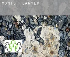 Monts  lawyer