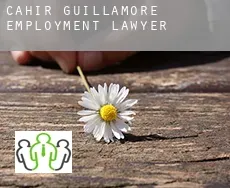 Cahir Guillamore  employment lawyer