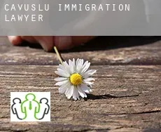 Çavuşlu  immigration lawyer