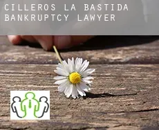 Cilleros de la Bastida  bankruptcy lawyer
