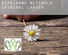 Espelkamp-Mittwald  criminal lawyer