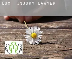 Lux injury lawyer