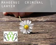 Mahoenui  criminal lawyer