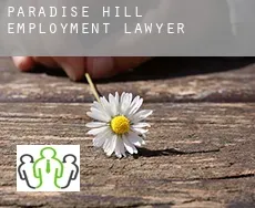Paradise Hill  employment lawyer