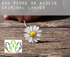 São Pedro da Aldeia  criminal lawyer