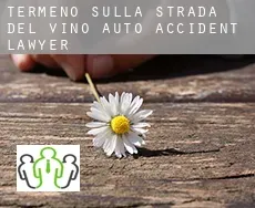 Termeno sulla strada del vino  auto accident lawyer