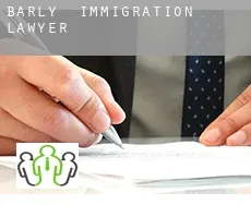 Barly  immigration lawyer