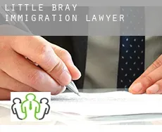 Little Bray  immigration lawyer