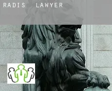 Radis  lawyer