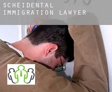 Scheidental  immigration lawyer