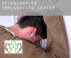 Seigniory (census area)  immigration lawyer
