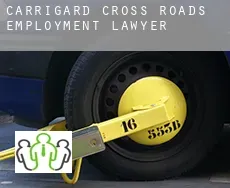 Carrigard Cross Roads  employment lawyer