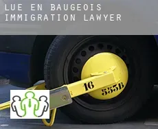 Lué-en-Baugeois  immigration lawyer