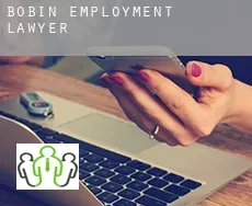 Bobin  employment lawyer