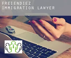Freiendiez  immigration lawyer