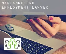 Mariannelund  employment lawyer