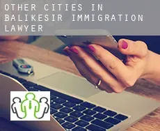 Other cities in Balikesir  immigration lawyer