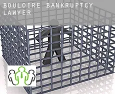 Bouloire bankruptcy lawyer