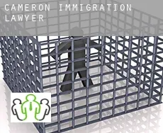 Cameron  immigration lawyer