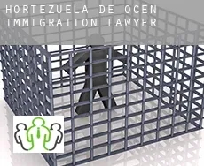 Hortezuela de Océn  immigration lawyer