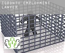Toronto employment lawyer