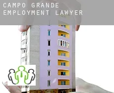 Campo Grande  employment lawyer
