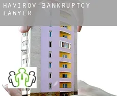 Havířov  bankruptcy lawyer