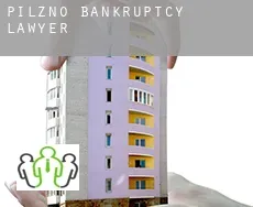 Pilzno  bankruptcy lawyer