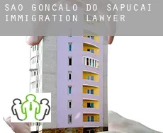 São Gonçalo do Sapucaí  immigration lawyer
