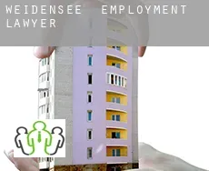 Weidensee  employment lawyer