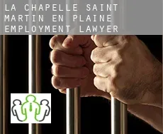 La Chapelle-Saint-Martin-en-Plaine  employment lawyer