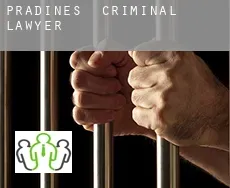 Pradines  criminal lawyer