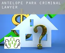 Antelope Park  criminal lawyer