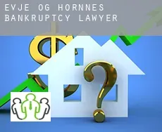 Evje og Hornnes  bankruptcy lawyer