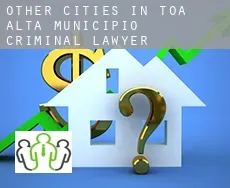 Other cities in Toa Alta Municipio  criminal lawyer