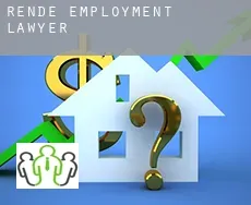 Rende  employment lawyer