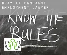 Bray-la-Campagne  employment lawyer
