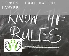 Termes  immigration lawyer