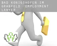 Bad Königshofen im Grabfeld  employment lawyer