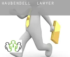 Haubendell  lawyer