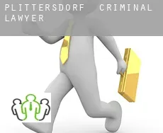 Plittersdorf  criminal lawyer