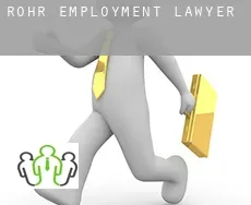 Rohr  employment lawyer