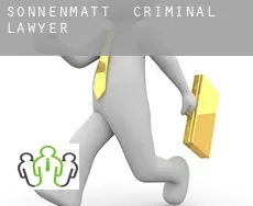 Sonnenmatt  criminal lawyer