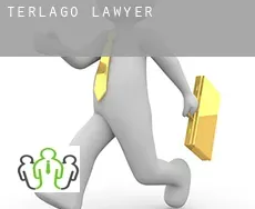 Terlago lawyer