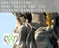 Northeastern Manitoulin and the Islands  bankruptcy lawyer